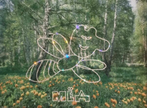 Мёд